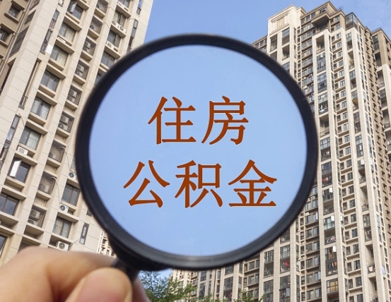 邯郸退休后查不到公积金明细了吗（退休后公积金查询不到原因）